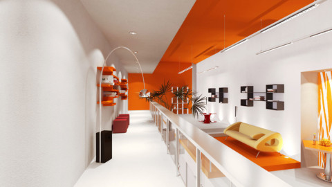 Unrevealed Shortcodes