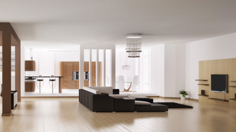 Unrevealed Shortcodes