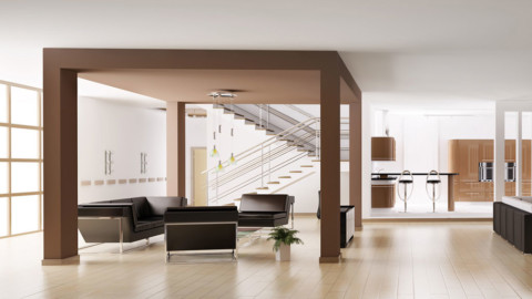 Unrevealed Shortcodes