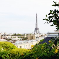 download-18 download-18