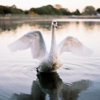 tumblr_nr8xq6D6kZ1s1rkq3o1_r1_1280 tumblr_nr8xq6D6kZ1s1rkq3o1_r1_1280