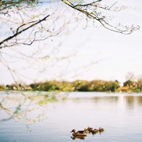 tumblr_nr8xq6D6kZ1s1rkq3o2_r1_1280 tumblr_nr8xq6D6kZ1s1rkq3o2_r1_1280