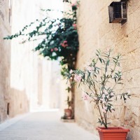 tumblr_nu7vo087x61s1rkq3o2_1280 tumblr_nu7vo087x61s1rkq3o2_1280