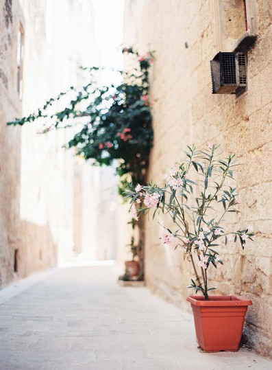 tumblr_nu7vo087x61s1rkq3o2_1280 tumblr_nu7vo087x61s1rkq3o2_1280