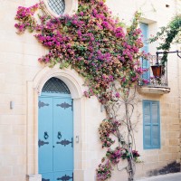 tumblr_nu7vo087x61s1rkq3o7_1280 tumblr_nu7vo087x61s1rkq3o7_1280