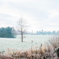 tumblr_o1937fwuIN1s1rkq3o4_1280 tumblr_o1937fwuIN1s1rkq3o4_1280