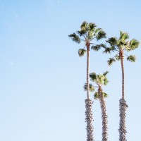 tumblr_o2ub9oLIXt1s1rkq3o2_r1_1280 tumblr_o2ub9oLIXt1s1rkq3o2_r1_1280