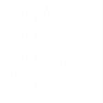 Profile picture of Nobody