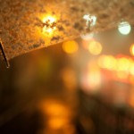 Profile picture of Whitetulip