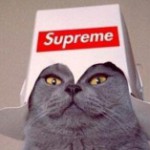 Profile picture of Terra Piu