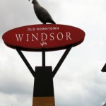 Profile picture of Martyn Kelly