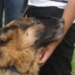 Profile picture of Poonam Mann