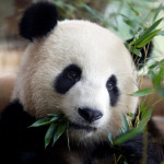 Profile picture of maxse