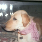 Profile picture of Elle Mayo