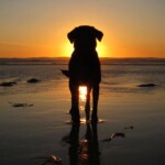 0b7eb05bd32959665ba26b9ddb0524ac