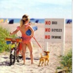 2d3bec07a2ea706b1622636471e98a1ad73107a34b3965b0391c092227e4ba6d