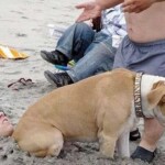 3a75e17f4a05ba1a33c0be586f02e965d0e9cbd5a52edabad99fa2c0cb3c4122